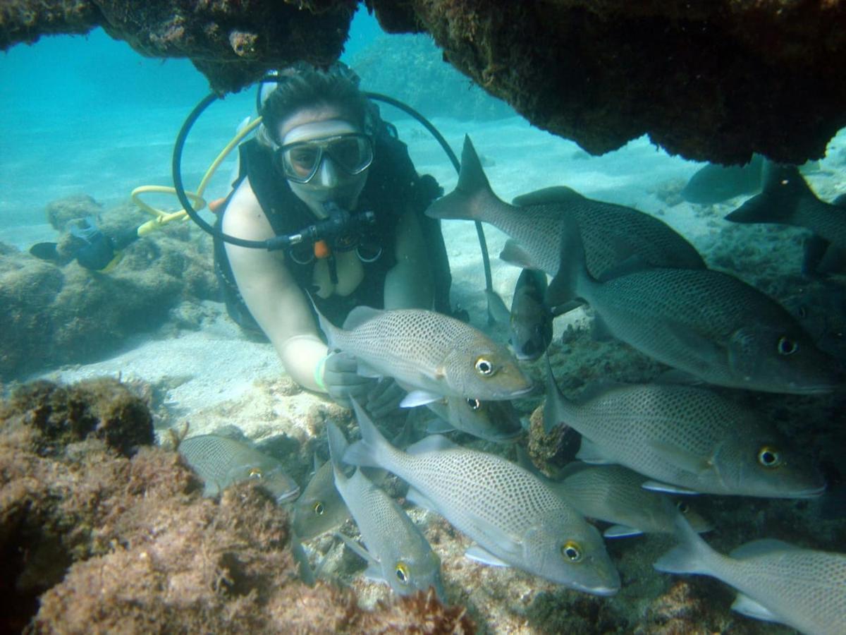Pousada Dos Cabanos มาราโกจี ภายนอก รูปภาพ